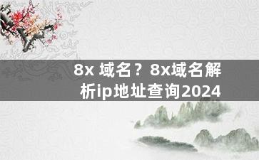 8x 域名？8x域名解析ip地址查询2024